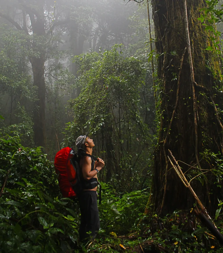 rainhike